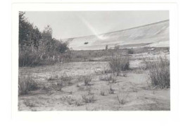 Photo Automobile, Circuit De Monthléry 1952, Voiture En Course - Automobile