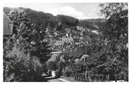 Allemagne - Blick  Auf Calw In Scharzwald - Calw