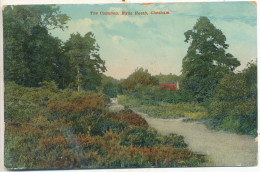 The Common, Hyde Heath, Chesham, 1916 Postcard - Buckinghamshire