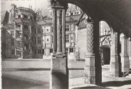 AD460 Blois - Le Chateau - Aile François I / Non Viaggiata - Blois