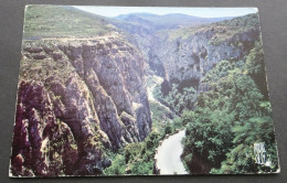 Gorges Du Verdon, Haute Provence - Le Grand Canon Vu De La Falaise Des Bauchets - Editions Photoguy, Nice - Sonstige & Ohne Zuordnung