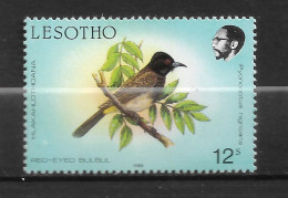 LESOTHO " N°  758 "  OISEAU X - Lesotho (1966-...)