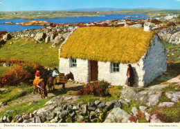 CPM- Ireland- Thatched Cottage, Connemara, Co. Galway  _ Photo John Hinde TBE*  Cf. Scans * - Andere & Zonder Classificatie