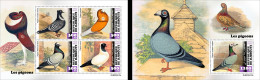 Djibouti 2023, Animals, Pigeons, 4val In BF +BF - Dschibuti (1977-...)