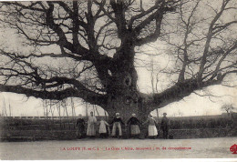 La Loupe Le Gros Chene - La Loupe