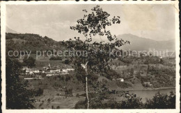 12048709 Muzzano Panorama Lago Di Lugano Luganersee Muzzano - Sonstige & Ohne Zuordnung