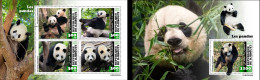 Djibouti 2023, Animals, Panda, 4val In BF +BF - Ours