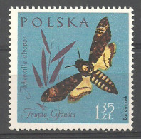 Poland 1961 Mi 1284 MNH  (LZE4 PLD1284) - Mariposas