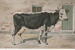 Cow.  Kuh . Publisher: Russian E.V. BAGGOVUT Kegel. - Vaches