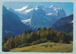 HASLIBERG - Dossenhorn, Rosenlauigletscher, Rosenhorn, Wellhorn, Wetterhorn - Hasliberg