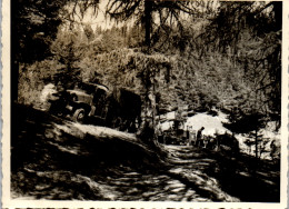 Photographie Photo Vintage Snapshot Amateur Camion Forêt  - Treni