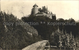 12043479 Arlesheim Schloss Birseck Arlesheim - Sonstige & Ohne Zuordnung