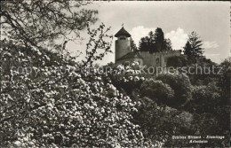 12043469 Arlesheim Schloss Birseck Eremitage Baumbluete Arlesheim - Autres & Non Classés