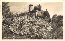 12042439 Arlesheim Schloss Birseck Ermitage Baumbluete Arlesheim - Altri & Non Classificati