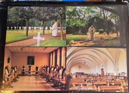 28 Cartes De L'abbaye Du Mont Des Cats, Godewaersvelde - Other & Unclassified