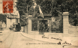 MONTPELLIER LE JARDIN DES PLANTES - Montpellier