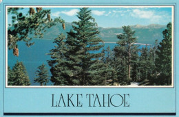 1 AK USA / California * Lake Tahoe - Ein Süßwassersee In Der Sierra Nevada An Der Grenze Zwischen Kalifornien Und Nevada - Sonstige & Ohne Zuordnung