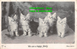 R353768 We Are A Happy Family. F. H. L. Hartmann. Series 3046. Landor. 1905 - Monde