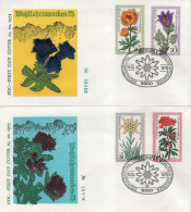 Germany Deutschland 1975 FDC Wohlfahrtsmarken Wohlfahrtsmarke, Blume Blumen Flower Flowers Flora, Canceled In Bonn - 1971-1980