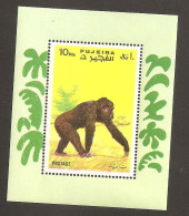 Fujeira Monkey MNH - Gorilas