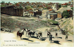 Turquie. Constantinople. Groupe De Chiens. - Turkey