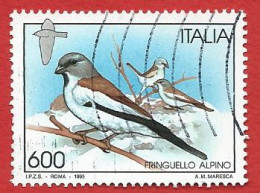 Italia 1995; Uccelli, Bird: Fringuello Alpino. Usato - 1991-00: Used