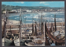 116216/ FANO, Porto E Spiaggia - Fano