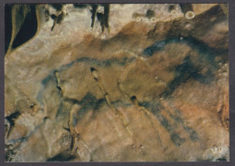 118065/ VILLARS, Grotte Préhistorique Du Cluzeau, Peinture Rupestre, Chaval Au Galop - Sonstige & Ohne Zuordnung