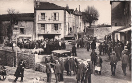 SAUGUES Le Marché Aux Porcs Cpsm Pm - Saugues