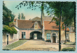 BRUGGE - Binnenkoer Van Het Prinselijk. Begijnhof "ten Wijngaarde" - BRUGES Cour Intérieure Du Béguinage - Brugge