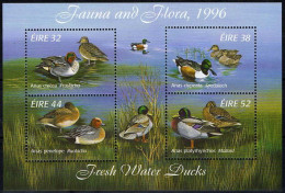 Ireland Ducks Sheetlet 1996 - Blokken & Velletjes