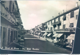 Aa393 Bozza Fotografica  S.dona'di Piave Rifilata Tagliata Provincia Di Venezia - Venezia (Venice)