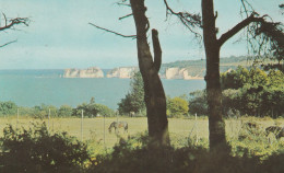 Postcard - Studland Bay. Nr. Swanage - Card No.pt218/7 - Very Good - Zonder Classificatie