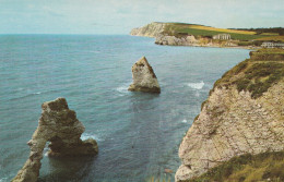 Postcard - Arch And Stag Rocks And Freshwater Bay - I.O.W - No Card No  - Very Good - Non Classificati