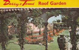 Postcard - Kensington, London - Derry And Tom's Roof Garden - Vine Covered Archway  - No Card No - Very Good - Unclassified