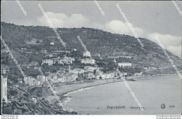 Bq228 Cartolina Ospedaletti Panorama Provincia Di Imperia - Imperia