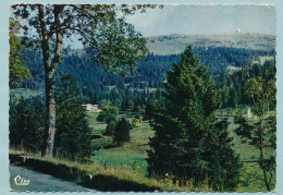 Le Massif De La Dôle Et La Route Du Col De La Faucille - Autres & Non Classés