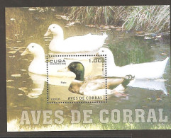 Cuba Bird  MNH - Eenden