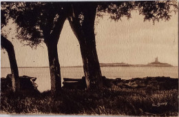 CPSM Circulée 1948 ,  La Hougue (Manche) Vue Prise Du Chemin Des Douaniers  (66) - Saint Vaast La Hougue