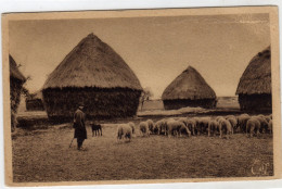 Folklore En Beauce Troupeau De Moutons - Autres & Non Classés