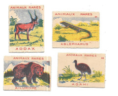 KB2085 - VIGNETTES CARTONNEES - ANIMAUX RARES - ADDAX - AILUROPE  - ABLEPHARUS - AGAMI - Sonstige & Ohne Zuordnung