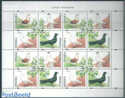 Poland 1994 Pigeons M/s, Mint NH, Nature - Birds - Pigeons - Unused Stamps