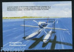 Gambia 1996 S.6B In Water S/s, Mint NH, Transport - Aircraft & Aviation - Airplanes