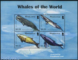Montserrat 2008 Whales Of The World 4v M/s, Mint NH, Nature - Sea Mammals - Andere & Zonder Classificatie