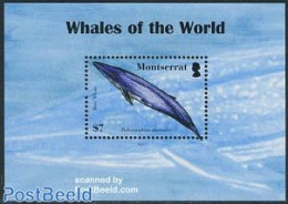 Montserrat 2008 Whales Of The World S/s, Mint NH, Nature - Sea Mammals - Andere & Zonder Classificatie