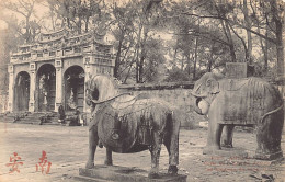 Vietnam - HUE - Porte De L'enceinte Du Tombeau De Minh-Ma - Ed. P. Dieulefils 1523 - Viêt-Nam