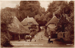 England - TORQUAY - Cockington Forge - Torquay