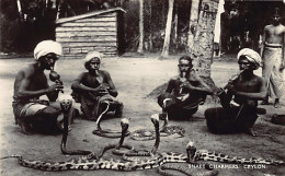 SRI LANKA - Snake Charmers - Publ. Plâté Ltd. 15 - Sri Lanka (Ceylon)