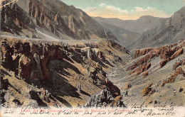 Argentina - Lecho Del Rio Horcones, Cordillera De Mendoza - Ed. R. Rosauer 310 - Argentine