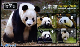 Montserrat 2010 The Giant Panda 4v M/s, Mint NH, Nature - Animals (others & Mixed) - Pandas - Andere & Zonder Classificatie